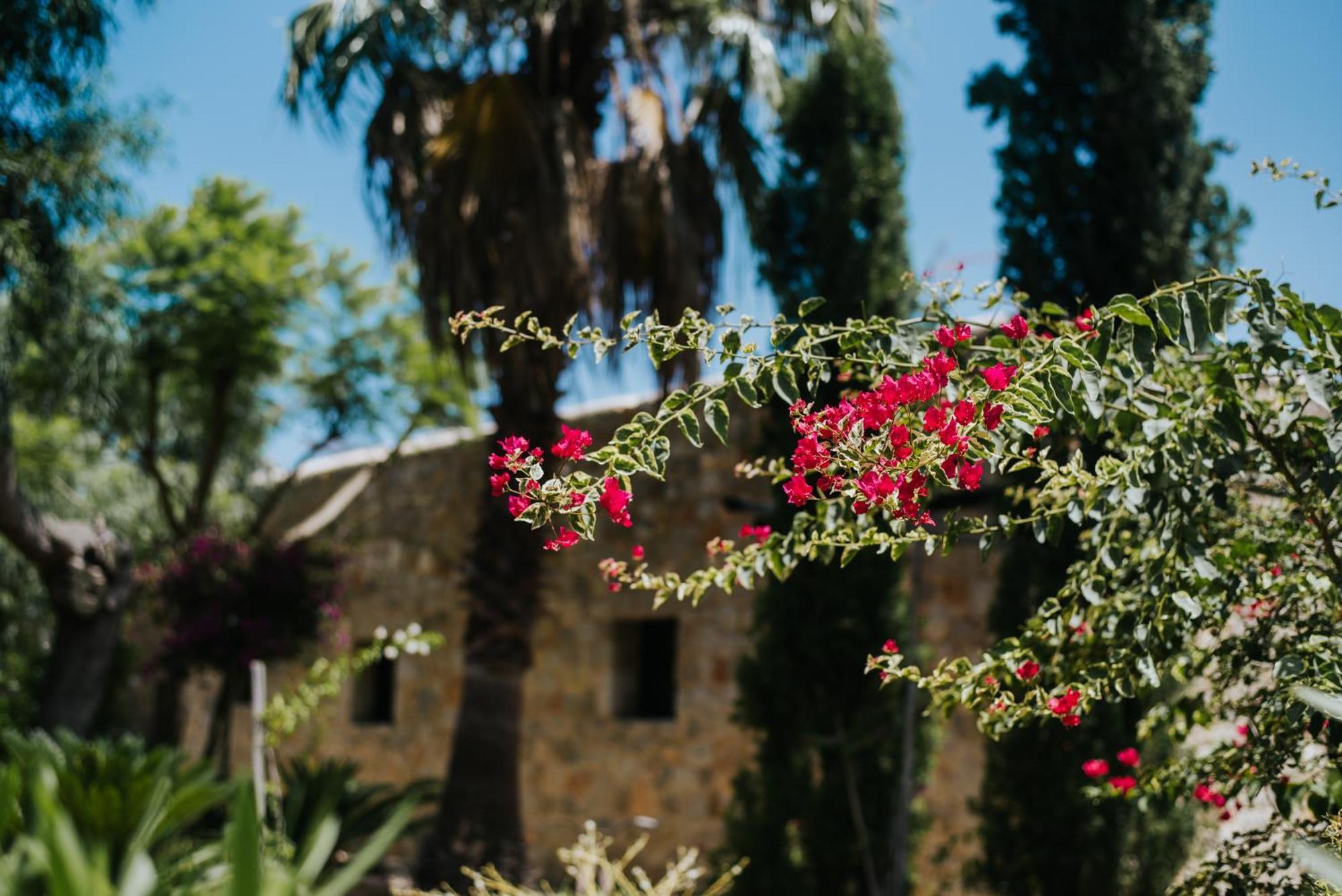 Villa & Guesthouse Paissa D'En Bernat Cala Tarida  Zewnętrze zdjęcie